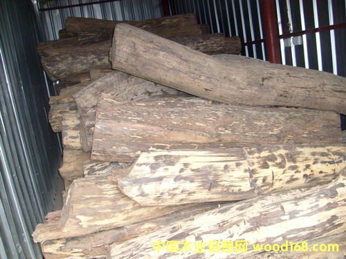 �c���鿴�������֦�Ŵ�DƬ