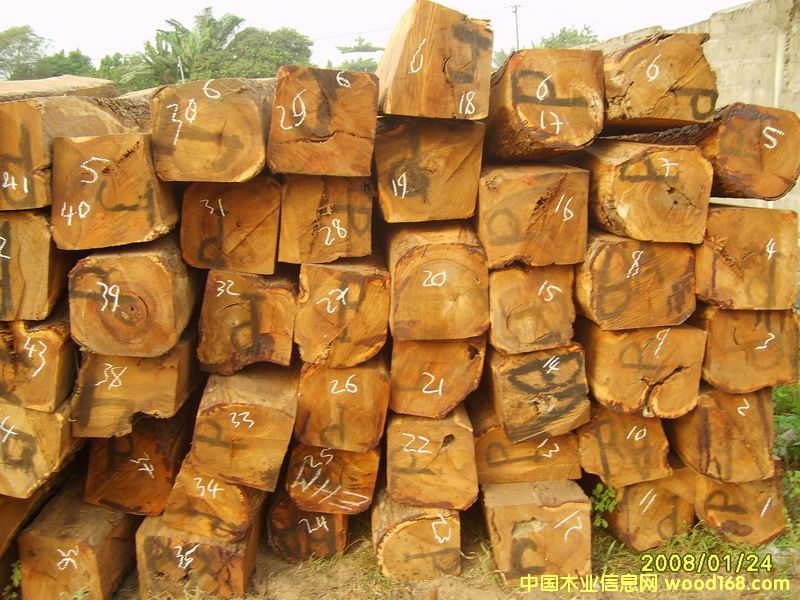 �����S����ľ�ʵ�Ԕ����B