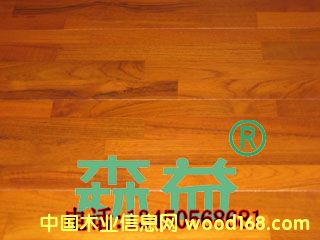 ��ľƴ��1��Ԕ����B