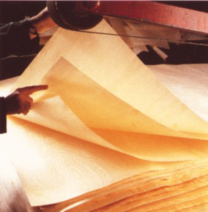 ľ����Ƥ��Ԕ����B