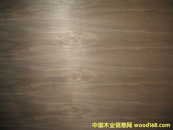 �c���鿴�ں��ҷŴ�DƬ