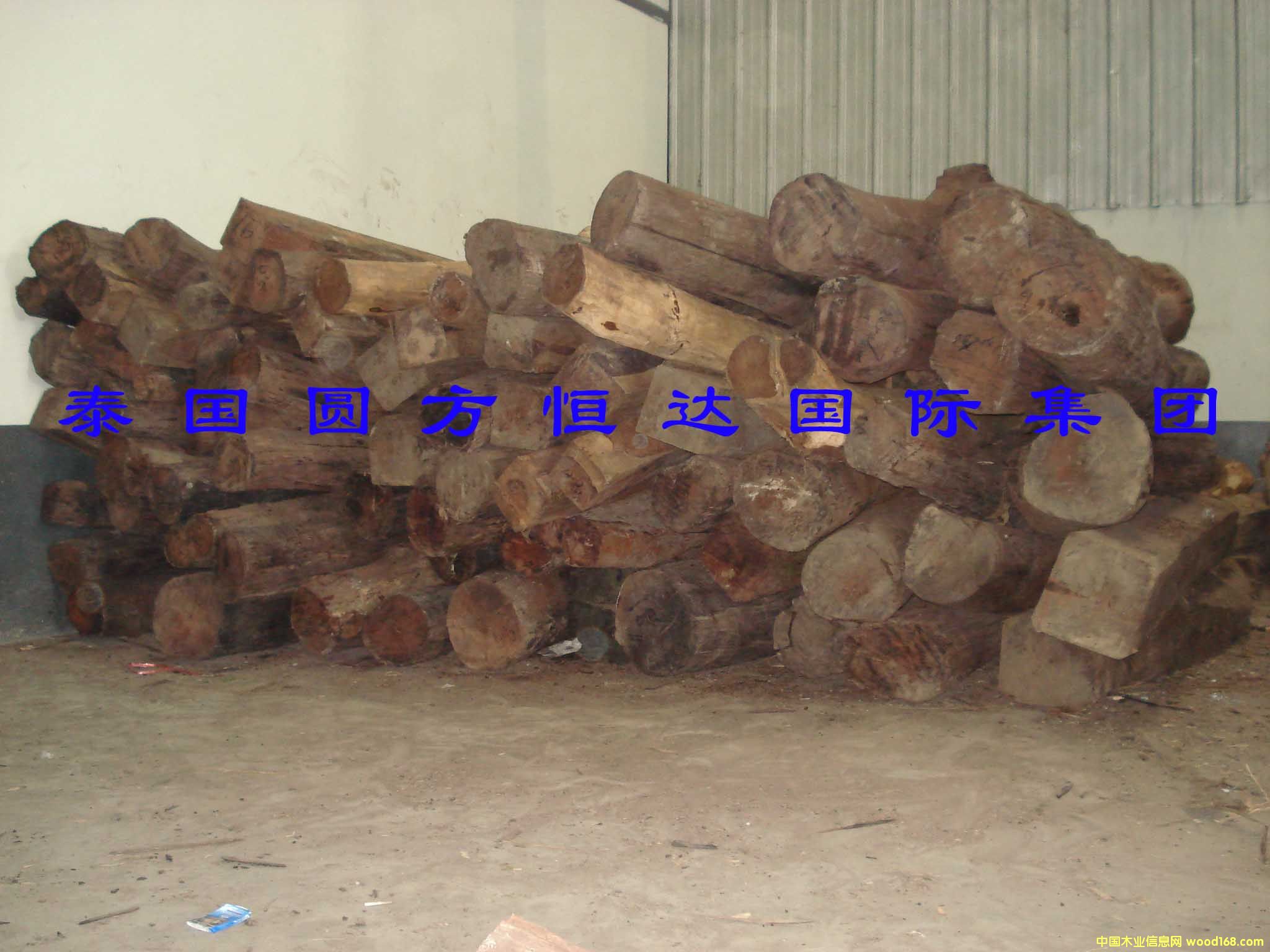 ��t��֦��Ԕ����B