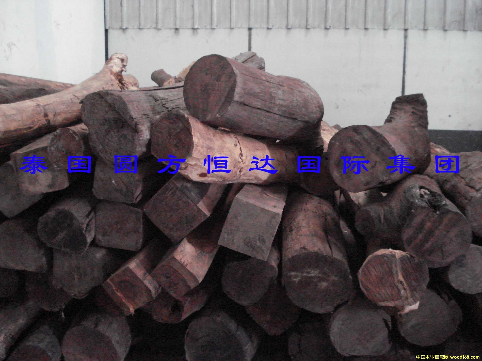 ��t��֦��Ԕ����B