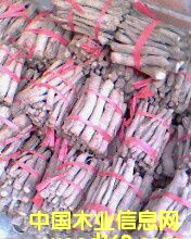 �c���鿴��ͩ���Ŵ�DƬ