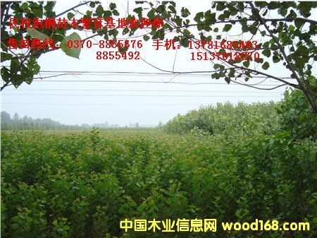 �c���鿴107�����Ŵ�DƬ