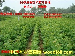 �c���鿴������Ŵ�DƬ