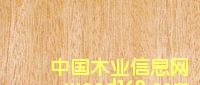 �t����