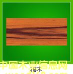 ��ľ��Ԕ����B