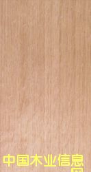 �Pľ-��ľ-ˮ�����ΰ��Ԕ����B