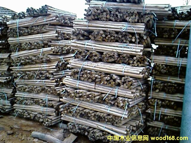 ��ľ�A����Ԕ����B