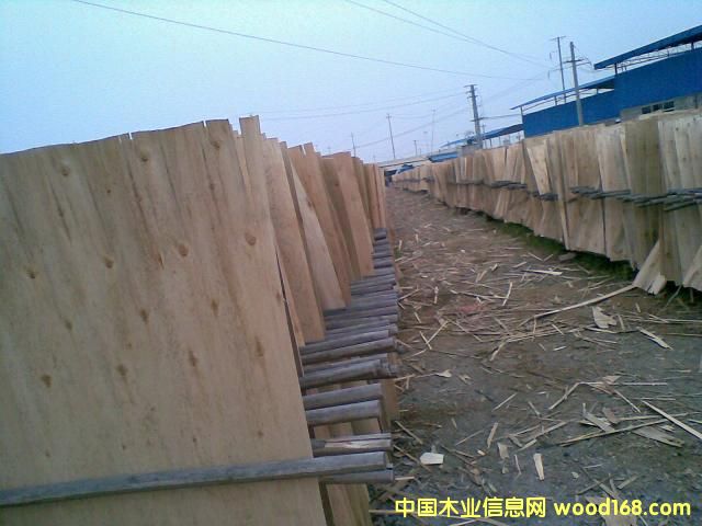 ��ľ�ΰ��Ԕ��(x��)��B