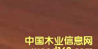 �c���鿴teak.��̫ƽ����ľ�Ŵ�DƬ