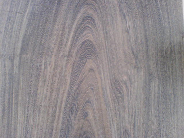 �����u��[����̴]��Ԕ����B