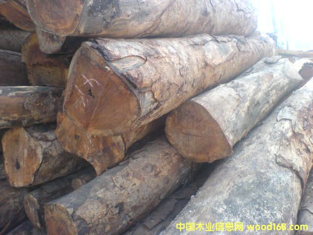 ����ľ��Ԕ����B