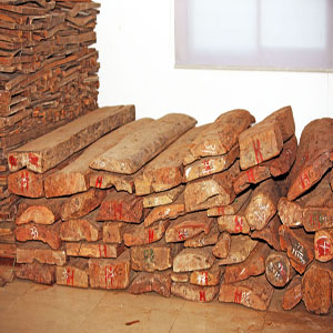 Խ���S����ľ��Ԕ����B