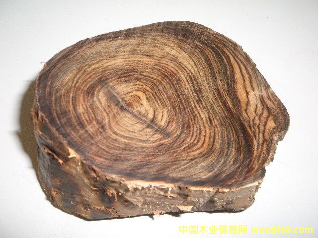 ���S̴��Ԕ����B