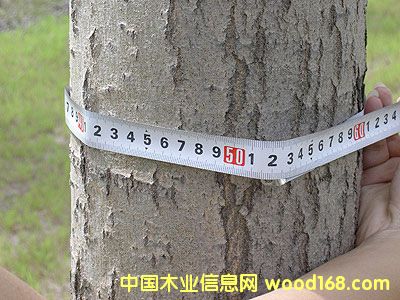 ��������Ԕ����B