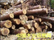 ɼ��ԭľ��Ԕ����B