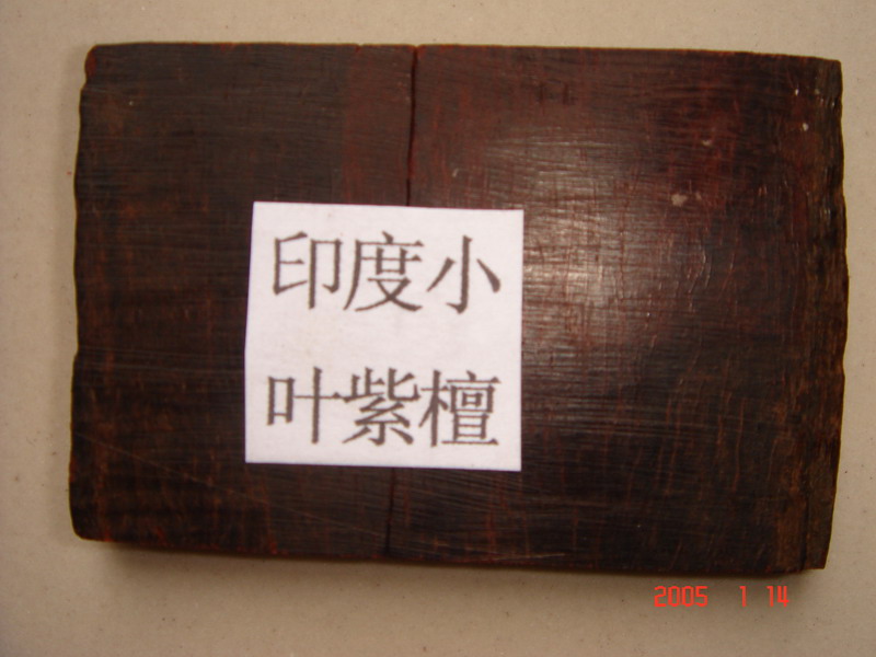 ӡ��С�~��̴��Ԕ����B