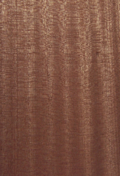 ɳؐ��ľƤ��Ԕ����B