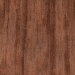 ����ľľƤ��Ԕ����B