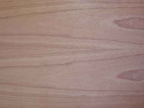 ���Ϙ�ľƤ��Ԕ����B