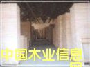 ͩľƴ���Ԕ����B