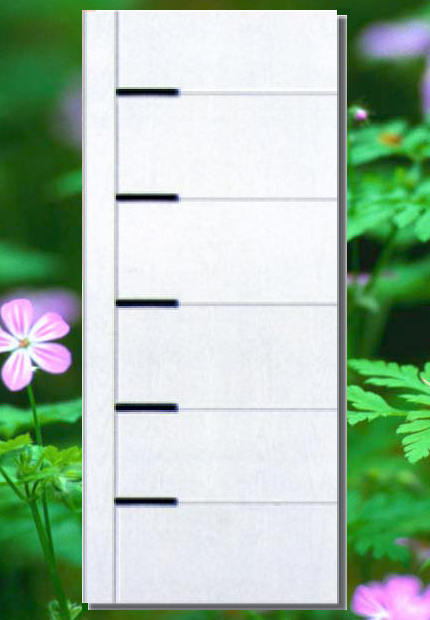 ����T��Ԕ����B