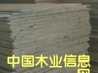 �c���鿴��ľ���Ŵ�DƬ