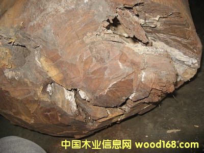 �c(di��n)���鿴Ϭ����̴�Ŵ�DƬ