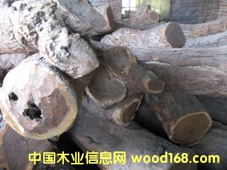 �c(di��n)���鿴��̴ԭľ�Ŵ�DƬ