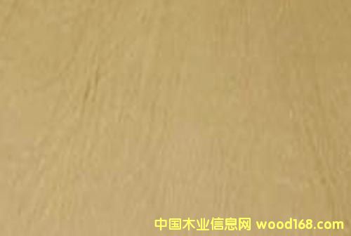 �����Ø�ľ���Ӱ��Ԕ��(x��)��B