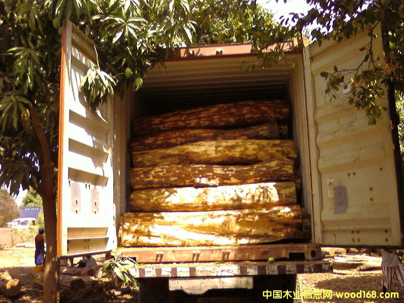 ԭľ1��Ԕ����B