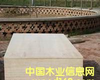 ���Ӱ��Ԕ����B