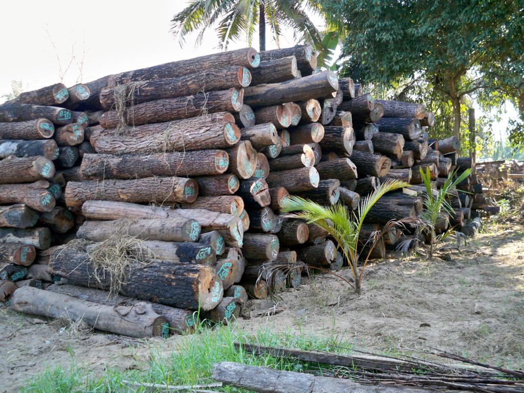 С�~�t̴��Ԕ��(x��)��B