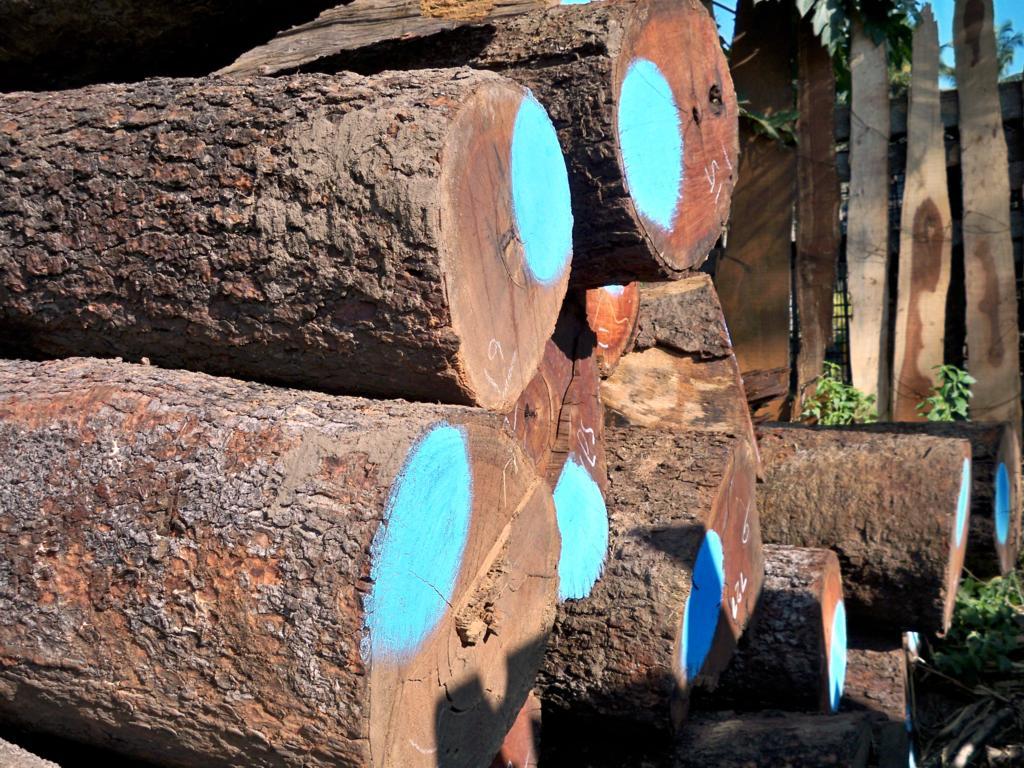 �����Kľ��Ԕ��(x��)��B