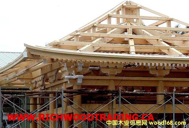 �����S�u (Cypress) / ������(c��)�� (Western��Ԕ��(x��)��B