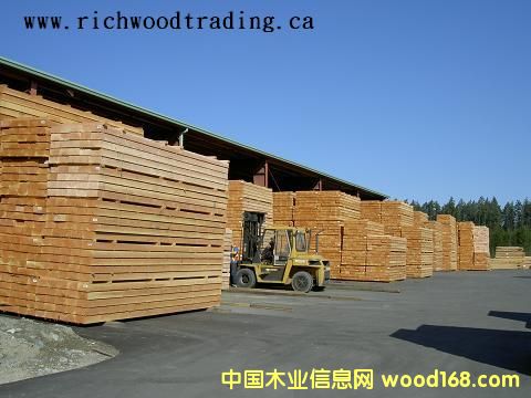 ������ �Fɼ ��ɼ SFP��Ԕ��(x��)��B