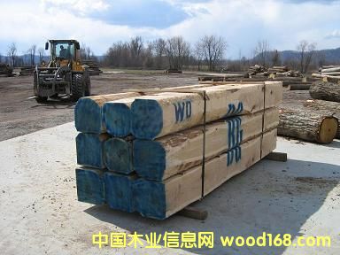 ����ľԭľ��Ԕ����B