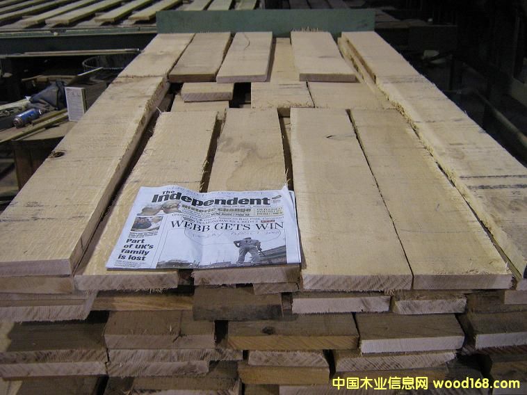 ��������ľ��ĵ�Ԕ����B