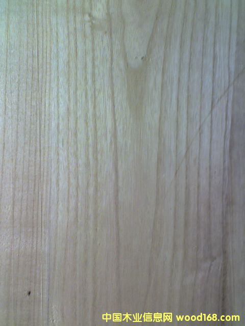 �c���鿴ͩľABC��ƴ��Ŵ�DƬ