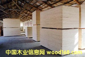 �c���鿴��ľ����Ŵ�DƬ