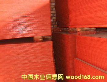 ����ģ���Ԕ����B