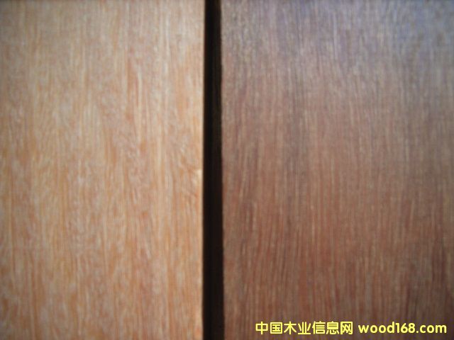 �Ĵ������t̴��Ԕ����B