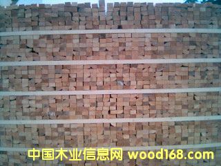 ���_˹�����ɵ�Ԕ��(x��)��B