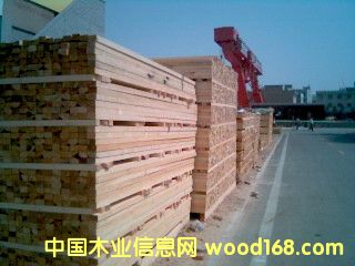 �|����ľ��Ԕ��(x��)��B