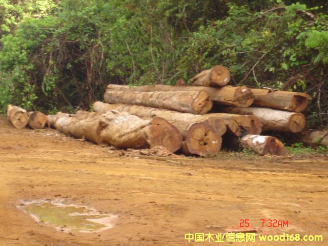 ����ᶹ��Ԕ����B