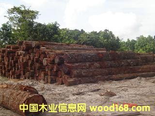 �F���ӵ�Ԕ����B