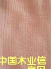 �t���ҵ�Ԕ����B