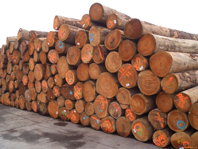 ����ԭľ��Ԕ����B